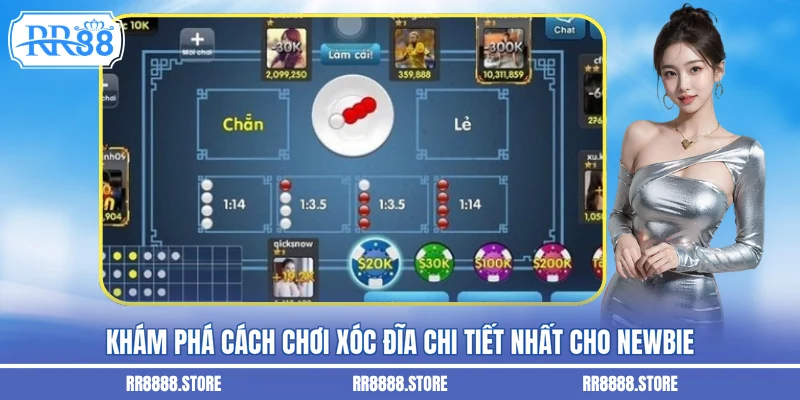 Khám phá cách chơi xóc đĩa chi tiết nhất cho newbie