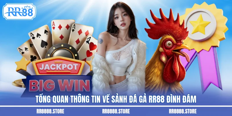 Tổng quan thông tin về sảnh đá gả RR88 đình đám