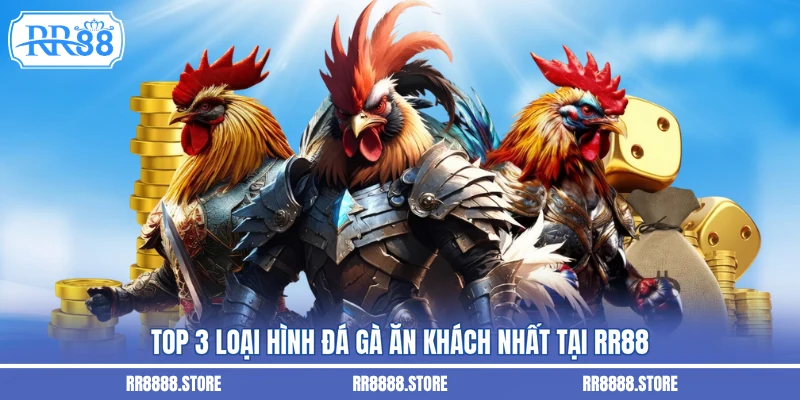 Top 3 loại hình đá gà ăn khách nhất tại RR88