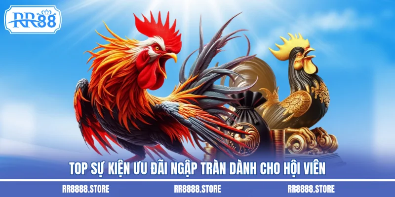Top sự kiện ưu đãi ngập tràn dành cho hội viên